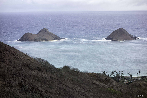 8344117337_d3e9e18be7